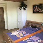 Ve Volarech Sumava מלון *