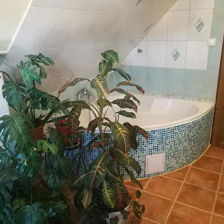 Hotel Chata * Volary